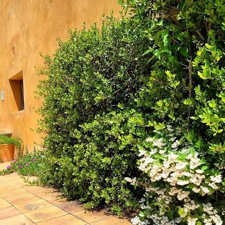 Masia Para Grupos Con Piscina Privada28 Pax Cabanelles Exterior photo